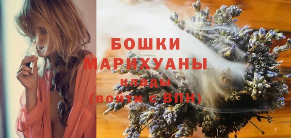 шишки Алексин