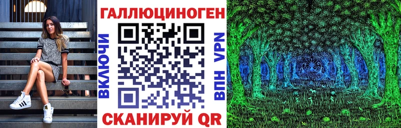 где купить наркотик  Бокситогорск  Псилоцибиновые грибы мицелий 